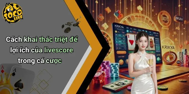 Cách khai thác triệt để lợi ích của livescore trong cá cược