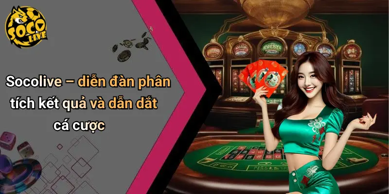 Socolive – diễn đàn phân tích kết quả và dẫn dắt cá cược