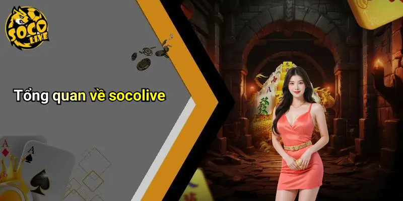 Tổng quan về socolive