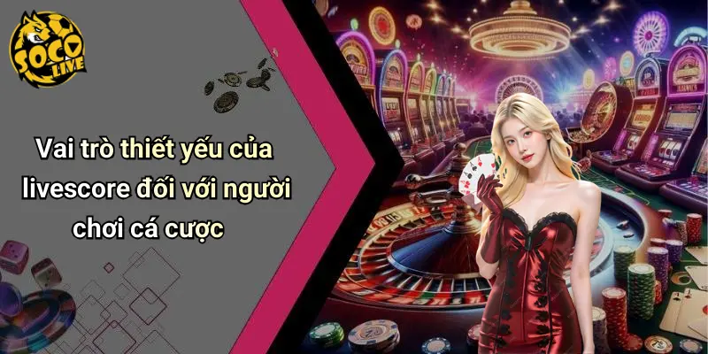 Vai trò thiết yếu của livescore đối với người chơi cá cược